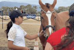 Foire de Koumac : la 32e édition démarre avec une belle affluence