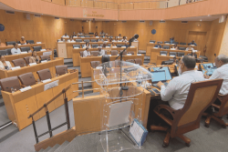 Dette de la Collectivité Territoriale de Martinique : quel plan de redressement pour assainir les finances ?