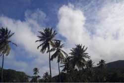 Retour au vert en Guadeloupe : l'arrière de l'onde tropicale n°45 est plus sèche