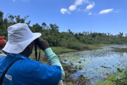 Assises Outre-mer de la biodiversité : excursion au lac Karihani menacé par l’urbanisation