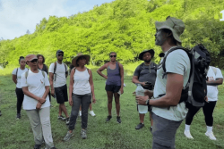 Dans les Grands-Fonds du Gosier, une randonnée pour redécouvrir un passé agricole méconnu