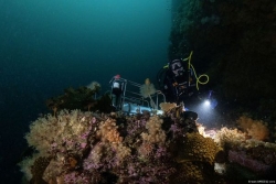 Programme, conférences, intervenants : ce qu'il faut savoir sur cette 6e édition du Congrès des sciences aquatiques