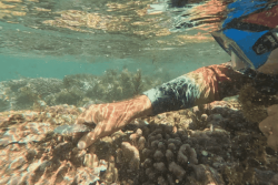 32 participants en compétition pour la 3e édition des To'a Reef