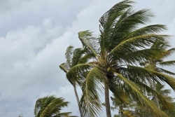 Vigilance jaune maintenue en Guadeloupe : après une journée très arrosée, de fortes pluies encore attendues mercredi