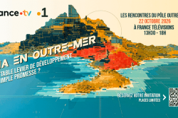 L'IA en Outre-mer : véritable levier de développement ou simple promesse ?