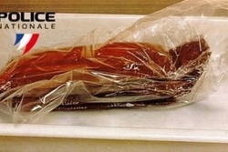 Il dissimulait plus d'1 kilo de cocaïnes autour de ses cuisses : un passager interpellé à l'aéroport Aimé Césaire écope de 12 mois de prison