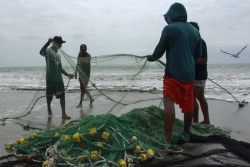 Sur le littoral Pacifique, les pêcheurs latino-américains à l'épreuve d'El Niño : le poisson fuit les eaux chaudes