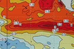 Climat : El Niño va continuer à s'intensifier jusqu'à son pic en décembre selon l'ONU