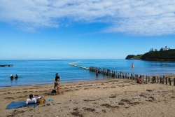 Vacances et présence des requins : la mairie de Nouméa oriente les baigneurs vers les zones protégées
