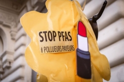 PFAS: trois associations mettent en demeure Seb de respecter ses obligations légales de "vigilance"