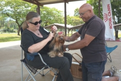 Exposition canine : le parc Fayard réunit 65 concurrents au poil