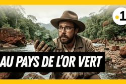 DECRYTAGE. Le nickel, l'or vert qui a façonné le destin de la Nouvelle-Calédonie (chapitre 1/2)