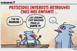 RENDEZ-VOUS. Le dessin de la semaine avec Nicolas Yann Martin : 11 octobre 2026