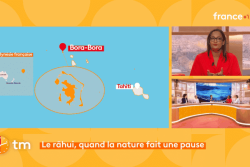 Polynésie : Le Rāhui, une pratique ancestrale pour préserver l’océan