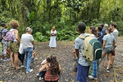 Contes et Musiques dans la Cité : une dernière édition au cœur des traditions orales après 20 ans d'existence 