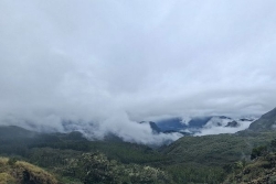 La Réunion : vigilance jaune, vents forts, sur le Sud de 11h à 16h