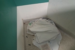 CHU de Guadeloupe : des personnels exercent leur droit de retrait après un signalement de rats au bloc opératoire