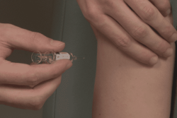 Vaccination contre la grippe : En Martinique, 1 senior sur 8 vaccinés, la campagne 2026/2027 débute