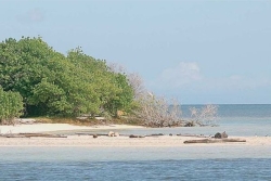 Interdiction d’accès à l’îlet Blanc prolongée, au nom de la préservation de ce milieu naturel fragile