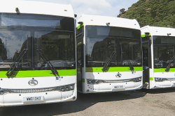 18 nouveaux bus pour relier Taravao à Papeete avec une mise en service progressive à partir du 19 octobre