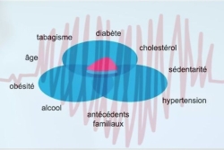 Maladies cardio-vasculaires : des recommandations préventives qui peuvent sauver des vies