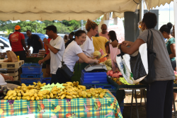 Le salon régional de l'agriculture de Guyane dès ce vendredi au lycée de Matiti