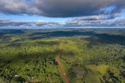 Brésil : la déforestation en Amazonie au plus bas depuis près de 40 ans
