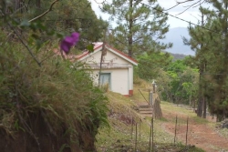 La maison Peters, un témoin de plus dans le vieux village de Tiébaghi