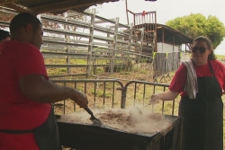 À Païta, ruée sur la Fête du bœuf, ses animelles, son concours de barbecue et son grand rodéo