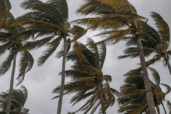 Vigilance orange pour vents violents aux Australes Ouest