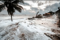 Vigilance orange pour vague-submersion et vents violents aux Australes ouest et centre