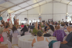 Pacific Human Rights Conference : Trois jours d'échanges pour promouvoir les droits de la communauté LGBTQIA +