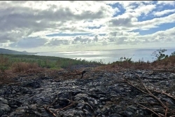 La Réunion : le soleil brille sur tout l'île ce matin, mais aussi sur l’Est et le Nord-Ouest cet après-midi, les autres secteurs seront couverts