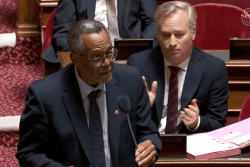 "La situation est critique" : un sénateur martiniquais réclame des moyens pour éradiquer la flambée de violence en Outre-mer