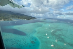 Transport aérien entre les îles : le schéma directeur pour 2026-2036, base de la future DSP
