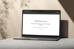CSSM, préfecture de Mayotte… Une faille de sécurité mondiale paralyse de nombreux sites internet
