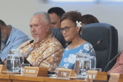 Vannina Crolas aurait déposé sa démission du gouvernement Brotherson