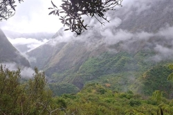 La Réunion : du soleil, des nuages, des averses et de 28 à 31 °C ce vendredi