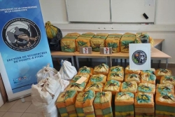 Cannabis contre cocaïne, entre la Guadeloupe et l'Hexagone : 19 suspects seront jugés à Paris