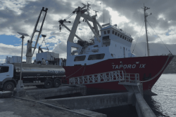 Le Taporo 9 enfin aux Marquises, la vie reprend