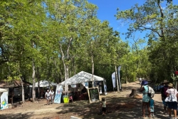 L'Office national des forêts fête ses 60 années d'existence