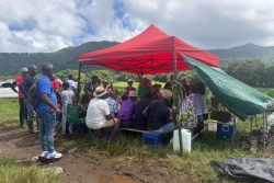 "Tous les efforts que nous allons faire auront disparu" : au Morne-Rouge, les agriculteurs de Providence se mobilisent contre la vente des terres