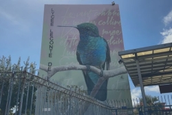 A La Réunion, les annonces du gouvernement aux manifestations lycéennes attendent des réponses concrètes