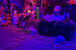 AGENDA. Dix sombres plans pour vivre Halloween à la Calédonienne