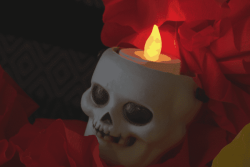 "On a décidé du thème il y a un an" : cette famille prépare un Halloween aux couleurs de la fête des Morts mexicaine