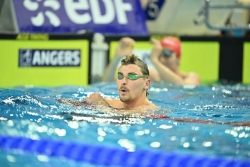 NATATION. Championnats de France en petit bassin : nouveau titre pour Maxime Grousset, au 50 mètres nage libre