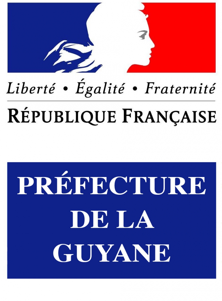 Arrêté du 14 janvier 2021 fixant le nombre de sièges répartis par sections pour les élections de l'assemblée de Guyane